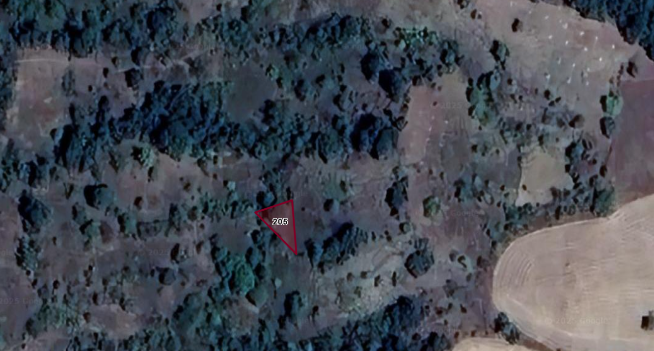 TOKAT ZİLE YÜNLÜ  KÖYÜNDE  200  M² BAĞ  SATILIKTIR